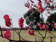 -长广溪湿地公园