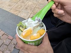 -Salud撒露欧洲冻酸奶(蓝色港湾店)