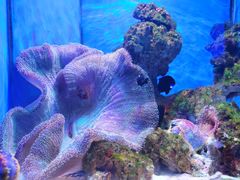 -多彩贵州城极地海洋世界