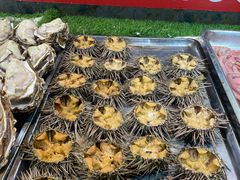 -旺角小渔村(二马路店)