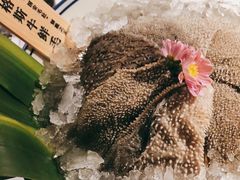-九鼎轩火锅大排挡