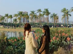 -南宁南湖公园