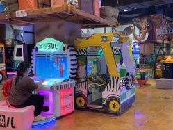 -卡通尼·Safari非洲探索乐园·生日会(金桥国际商业广场店)