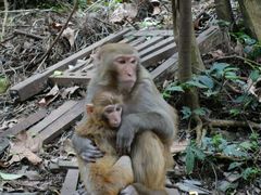 -黔灵山公园-南门售票处