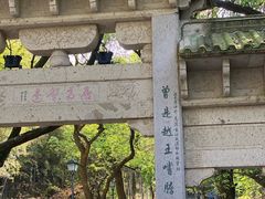 -峙山公园