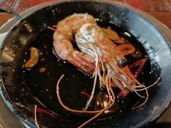 -TOMATITO(无限极荟店)