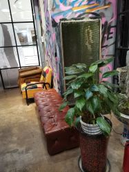 点击看大图 -P.STYLE 派斯造型