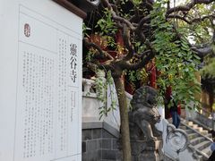 -灵谷景区