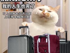 -阿五黄河大鲤鱼(海尚店)