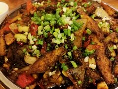 -老号尤兔头(幸福店)