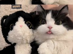 -天山集市(和家乐广场店)