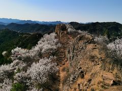 -蟠龙山长城景区
