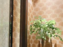 -沪碟·精菜坊(闵行店)