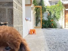 -瑞派名望24h动物医院异宠专科·猫专科·骨科·重症监护分院