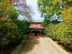 -灵谷景区