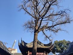 -豫园