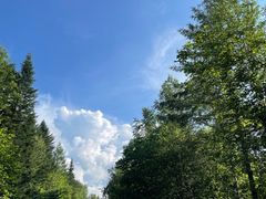 -汤旺河林海奇石景区