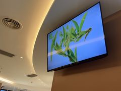 -奈雪的茶(广州万菱汇PRO店)