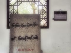 -上海醉白池公园