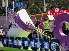 -高东镇樱花园