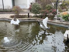 -广富林宰相府酒店·水云间