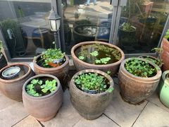 -新悦·霞浦海鲜生(上下杭店)
