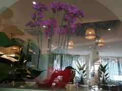 大堂-香香海南菜餐厅