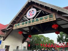 -上海海湾国家森林公园