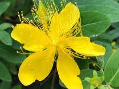 -苏州河梦清园环保主题公园