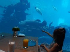 -海棠湾洲际-涛·海底餐厅·美人鱼·自助餐·海底隧道