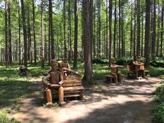 -黄海国家森林公园