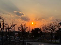 -上海滨江森林公园