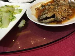 -青岛富力艾美酒店