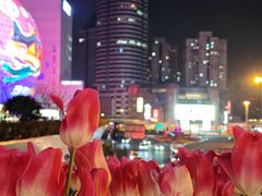-美罗城