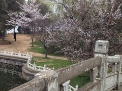 -甘棠公园