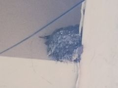 -半升洞码头