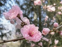 -颐和园