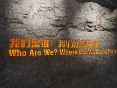 -国家自然博物馆