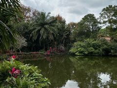 -海南热带野生动植物园