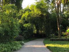 -四川大学(望江校区)