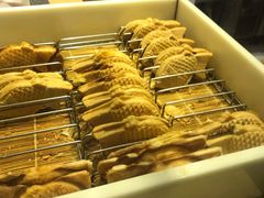 -粉粉乐鲷鱼烧(美罗城店)
