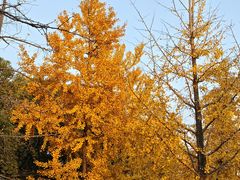 -杭州城北体育公园