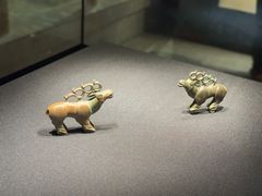 -张掖市博物馆