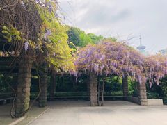 -宋庆龄陵园
