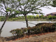 -上海海湾国家森林公园