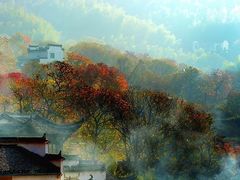-塔川景区
