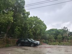 -马陆小张葡萄园农家乐