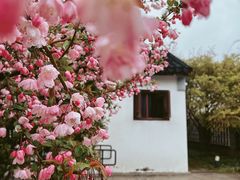 -相门城墙文化休闲景区