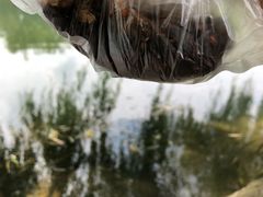 -王万妈卤猪脚(青岩交通路)