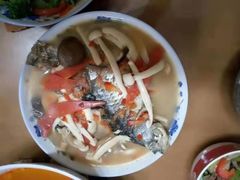 -田螺阿姨自营月嫂·育儿嫂(高新店)